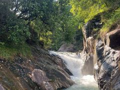 -广州白江湖森林公园