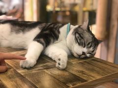 -小时光咖啡馆(开森度假森林店)