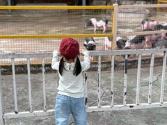-深圳野生动物园