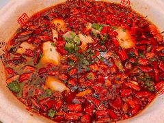 -陈麻婆豆腐总店