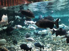 -成都浩海立方海洋公园