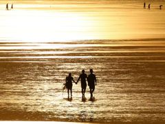 -南汇嘴观海公园