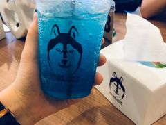 -TrueLove @ Neverland (Husky Cafe)