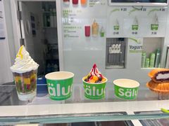 -Salud撒露欧洲冻酸奶(798艺术区店)