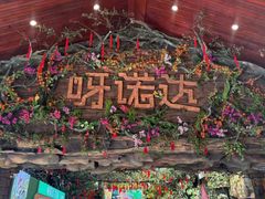 -呀诺达热带雨林