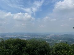 -黄埔油麻山森林公园