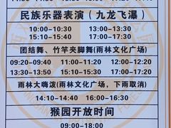 -西双版纳原始森林公园