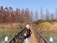 -三垟湿地