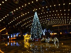 大堂-苏州金鸡湖中茵皇冠假日酒店