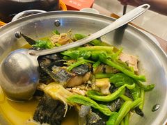 水煮鲟龙鱼-饭怕鱼·黄焖鲟龙鱼(湖大店)