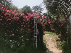 -武汉紫薇都市田园