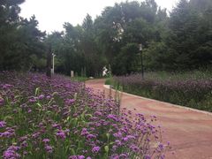 -莫子山公园