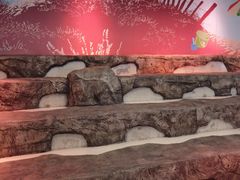 -沈阳海洋探索中心