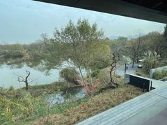 -木守西溪溪隐餐厅