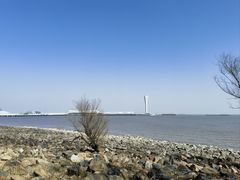 -上海吴淞炮台湾国家湿地公园