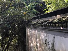 -上海佘山国家森林公园天马山园