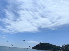 -棒棰岛宾馆景区