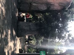 -鲁山国家森林公园