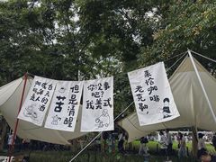 -陆家嘴中心绿地