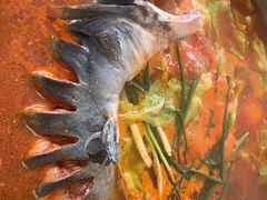 -苗侗地道红酸.酸汤鱼·酸汤牛肉