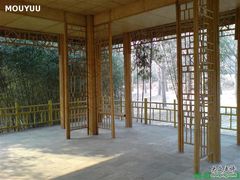 -紫竹院公园冰场