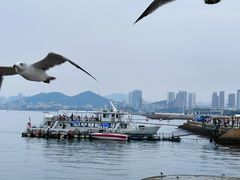 -星海广场