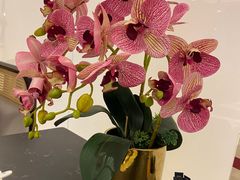 -楚禾宴·家宴(光谷大道店)