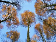 -山王坪喀斯特国家生态公园