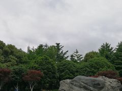 -后襄河公园