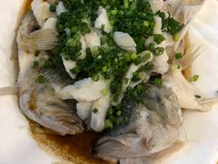 特色香葱淋鲈鱼-粤·向群饭店(泮塘路店)