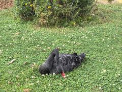 -云南艺术学院(呈贡校区)