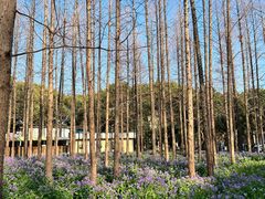 -上海交通大学(闵行校区)