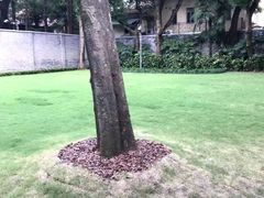 -上海孙中山故居纪念馆