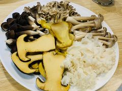 -菌鲜荟(摩根国际店)