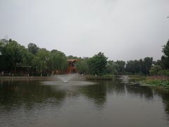 -东郊湿地公园