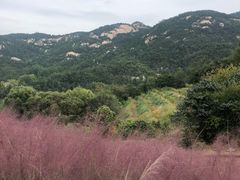 -昆嵛山石门里景区