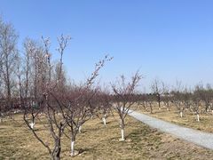 -汉长安城未央宫国家考古遗址公园