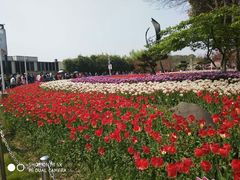 -大宁灵石公园西门票处