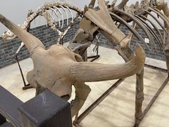-游龙石文化科普馆