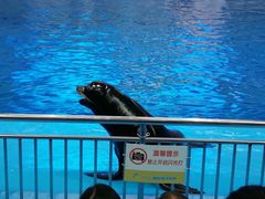 -多彩贵州城极地海洋世界