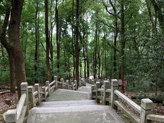 -灵岩山风景区