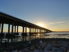 -宝安西湾红树林湿地公园