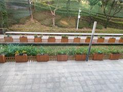 -必胜客(WOW中心城店)