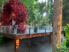 -二荆条·蜀鲜汇城市森林火锅