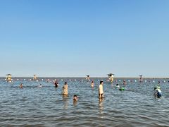-碧海金沙