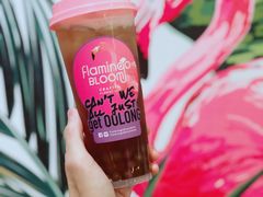 -Flamingo Bloom(TST /尖沙咀店)