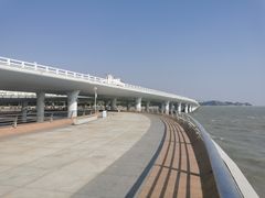 -演武大桥观景平台