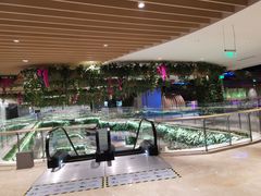 -江户烧肉(高德店)
