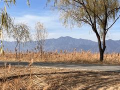 -野鸭湖国家湿地公园