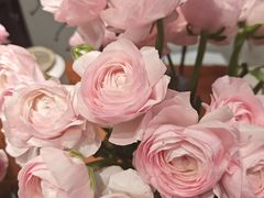 -双季花艺园艺市场(浦东店)